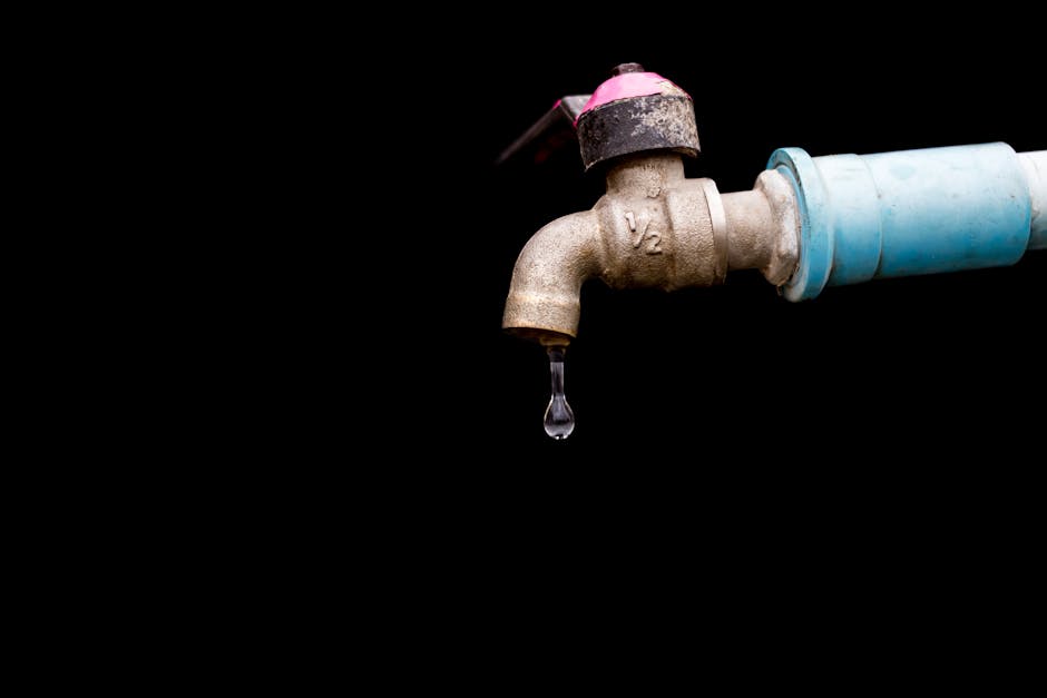 Where small-business email marketing leaks money
