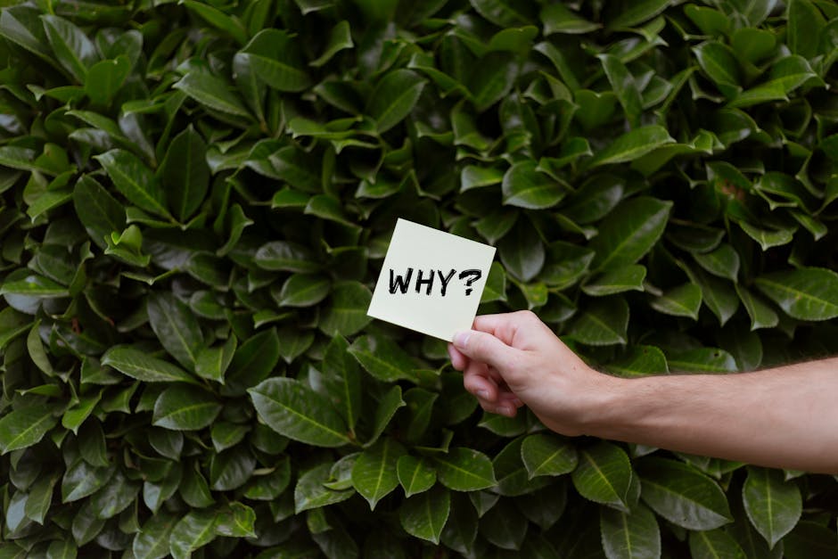 Frequently asked questions