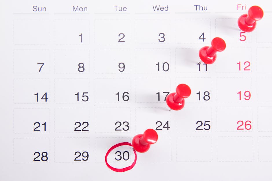 The November 2025 update: what changed