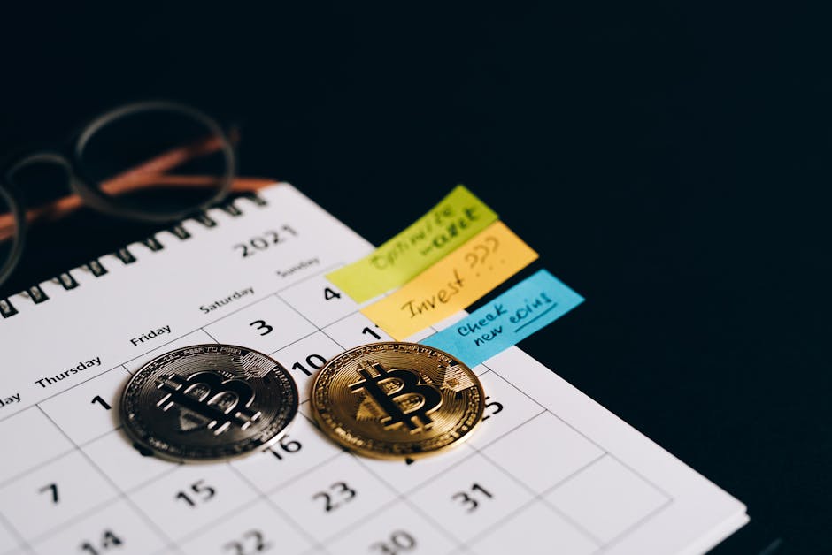 Pricing and timeline: what to budget