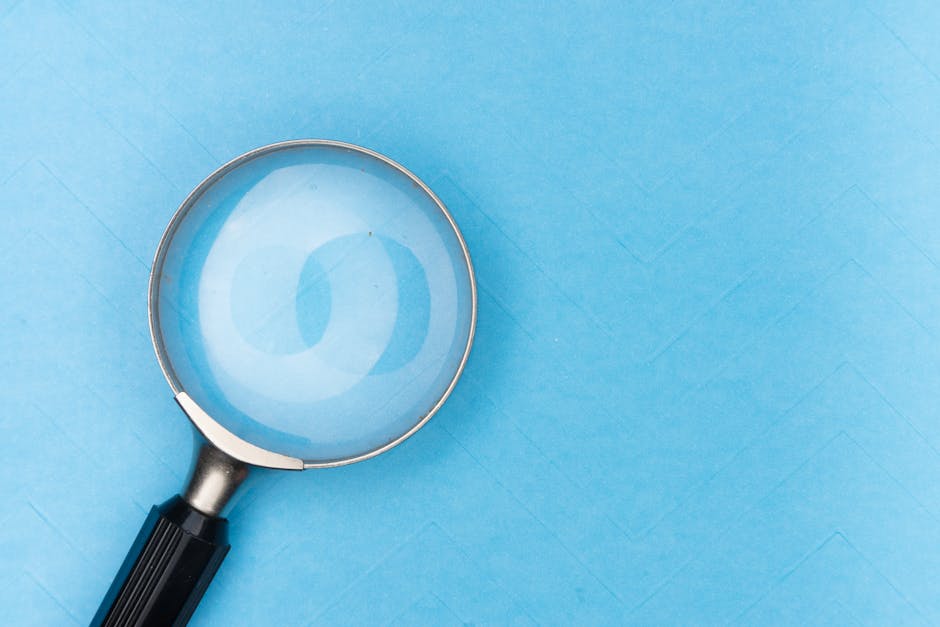 Web design and SEO: what to set up on day one